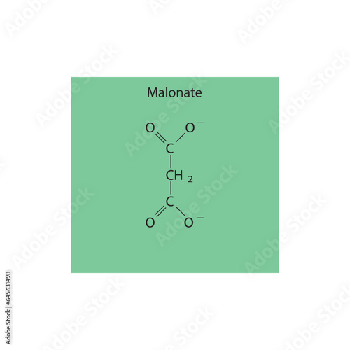 Malonate Dicarboxylic Acid competitive inhibitor of enzymes involved in various metabolic pathways Molecular structure skeletal formula on green background.