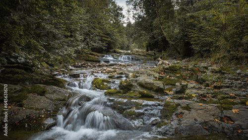 Rzeczka w miejscowości Nasiczne przepływająca kaskadowo poprzez piękny las w Bieszczadach