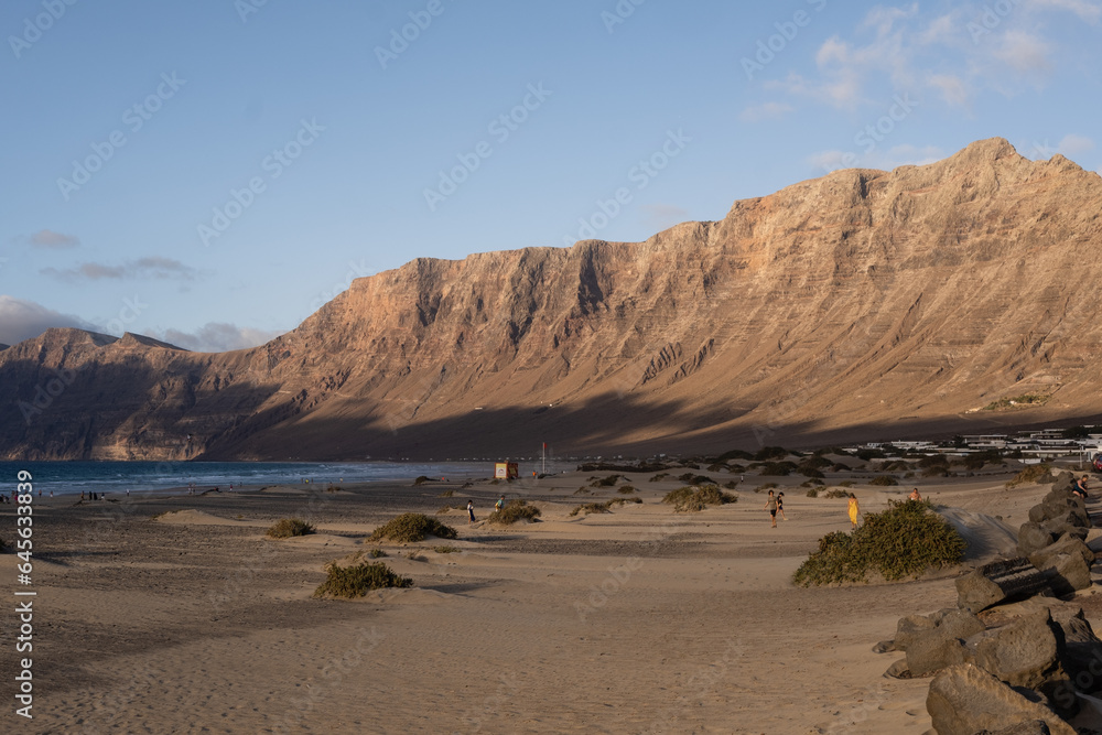 White sand beach. Golden sunset on Famara beach. Cliff and ocean in the background. Desert plants and sand dunes. Sky with white clouds. Caleta de Famara.Lanzarote, Canary Islands, Spain.