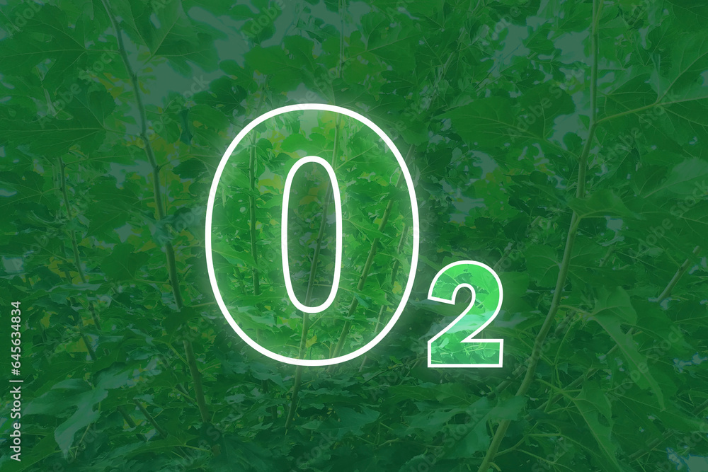 Words O2 in the green leaves background are a metaphor for the