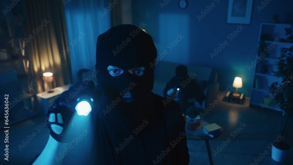 Shot capturing two burglars robbing the apartmnet. One of them stands on the foreground, pointing his flashlight at the surveillance camera he noticed. Shot capturing two burglars robbing the apartmnet. One of them stands on the foreground, pointing his flashlight at the surveillance camera he noticed.