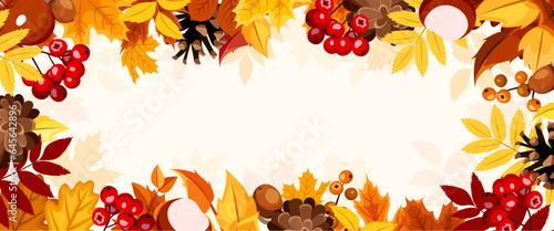 Autumnn background with orange, yellow, and brown autumn leaves, rowanberries, pine cones, acorns, and chestnuts. Vector banner or header