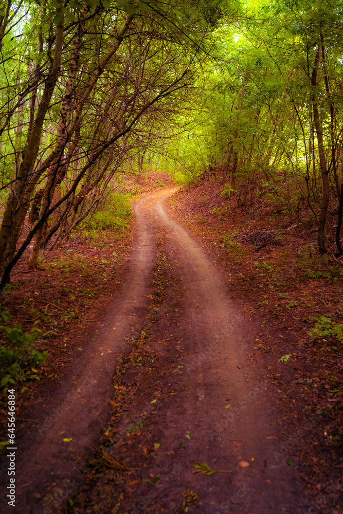 Ukraine, Kharkov region, Autumn, autumn forest Ukraine, Kharkov region, Autumn, autumn forest