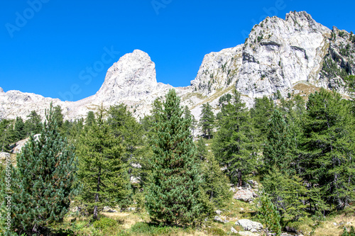 Fototapeta Naklejka Na Ścianę i Meble -  Paysage de montagne dans les Alpes du Sud dans le parc national du Mercantour au lac de Trecolpas