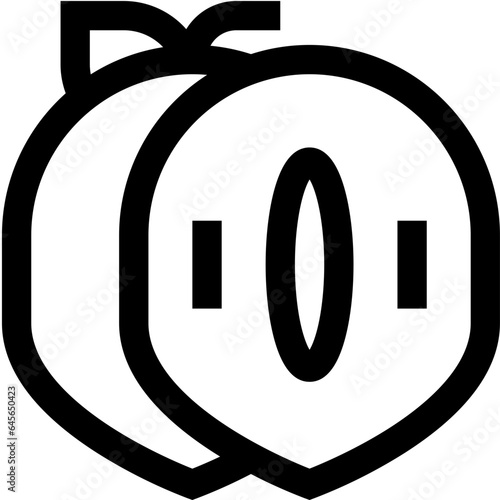 Sapodilla Vector Icon Design Illustration