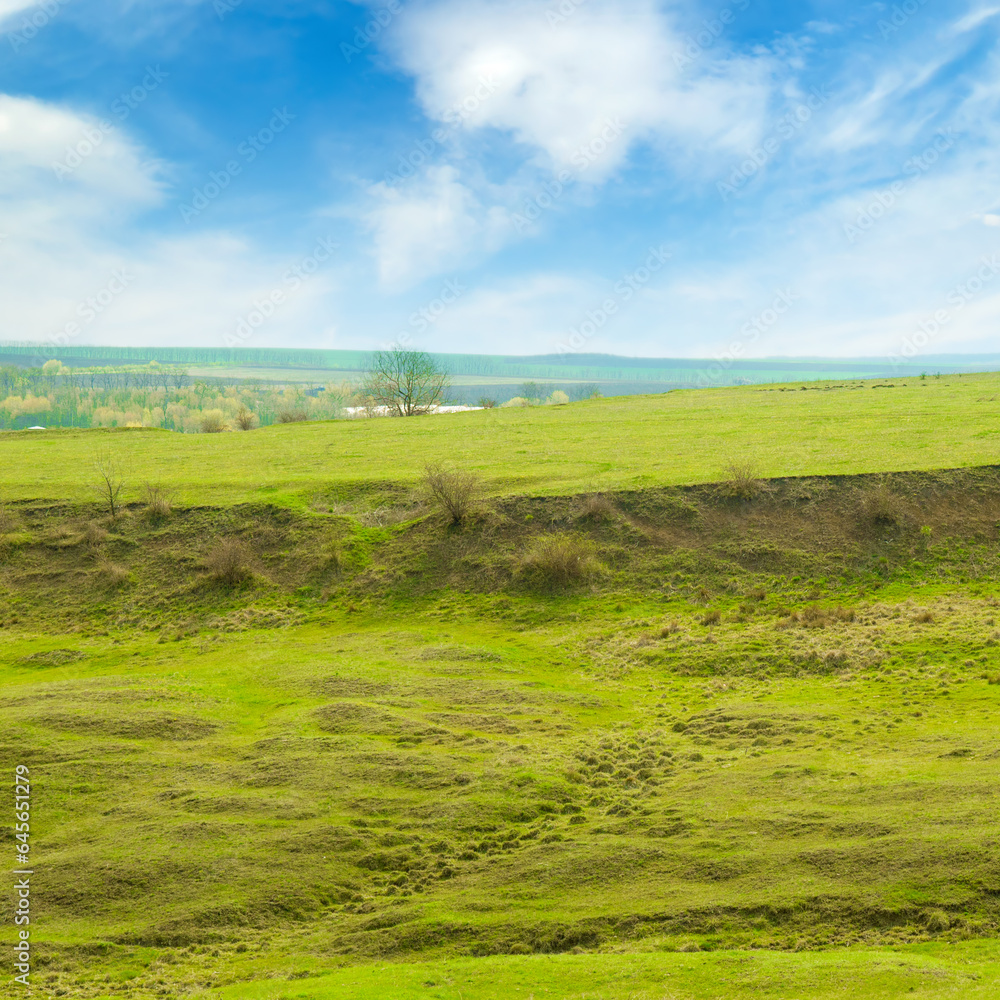 Fototapeta premium Green field and soil erosion (land slide).