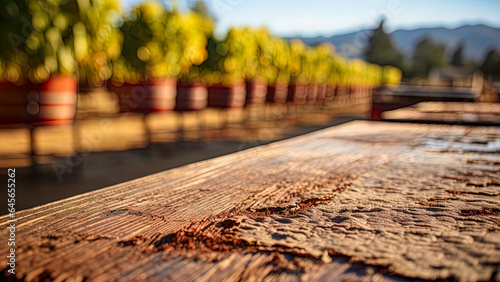 Aged wooden table with rough and weathered texture on blurred vineyard background