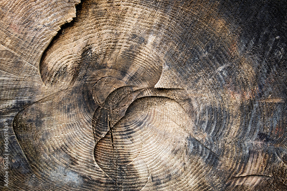 Fototapeta premium Wooden structure as a background