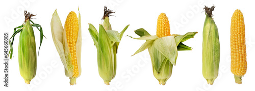 Photos Set of peeled and unpeeled corn cobs on a white background. Corn