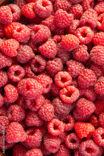 A raspberry background is a delightful burst of vibrant red and juicy freshness
