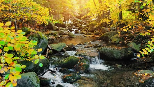 Autumn landscape of cascades of a mountain forest stream, stock video 4k