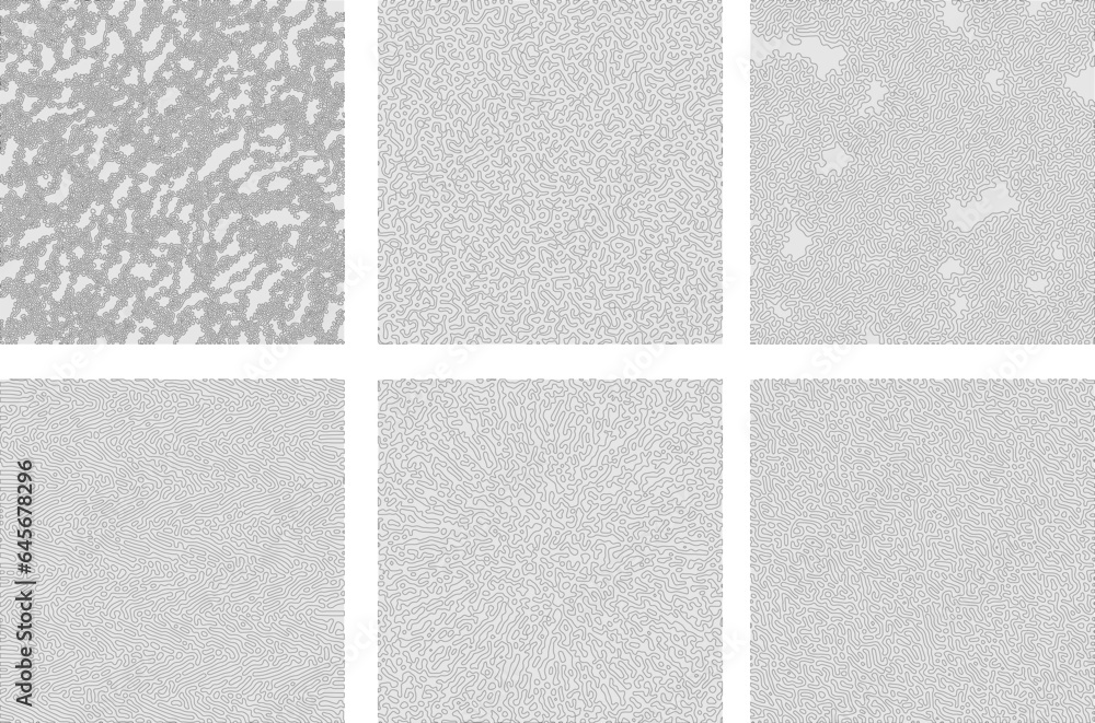 Fototapeta premium Set of turing pattern vector Format line style