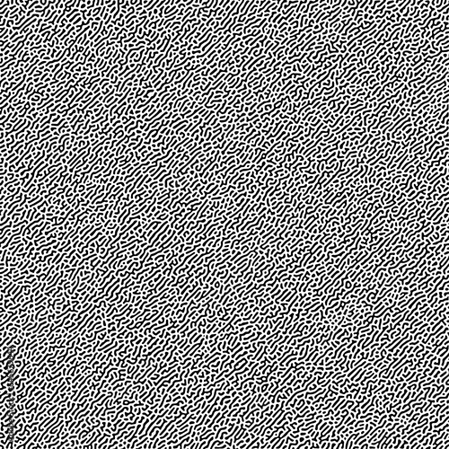Turing reaction diffusion monochrome seamless pattern made via morphogenesis. Natural background with organic structures. Vector illustration of chemical or biological concept.

Vector Formats 