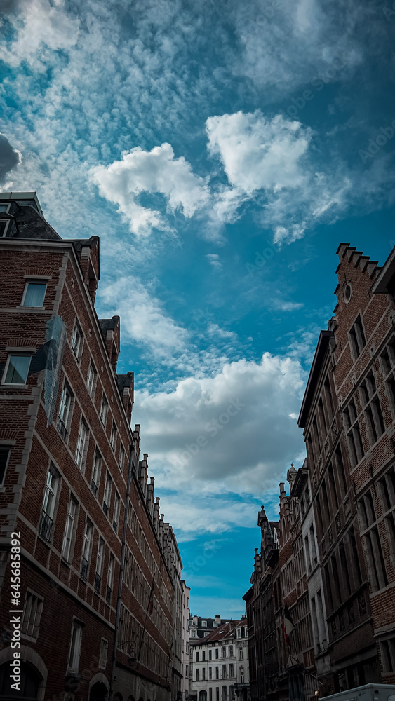 Obraz premium ‏Brussels, Belgium - 28 August 2023 - Large collection of buildings in the city centre and the sky clouds of Brussels in Belgium
