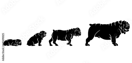 Bulldog Pet Breed, Growth Stages Silhouette