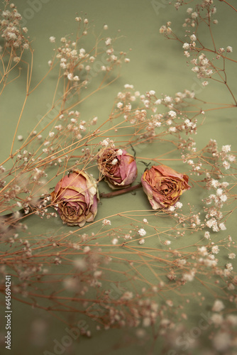 Pink dry roses with white little flowers on olive color background