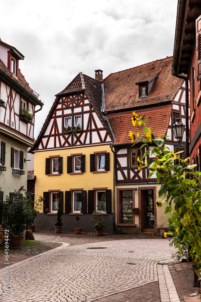 Fototapeta premium Ladenburg