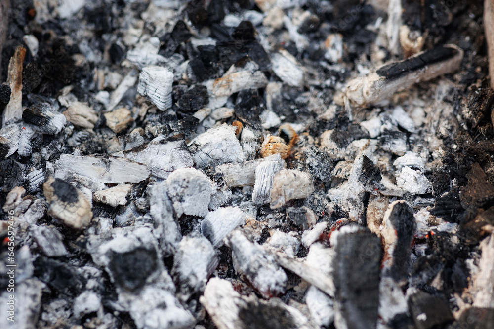 Coals for cooking shish kebab and barbecue. Hot coals and hot ash show the art surface texture. Coals for cooking shish kebab and barbecue. Hot coals and hot ash show the art surface texture.