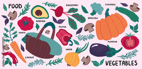 Vegetable. Vegan food set, tomato and cucumber, pumpkin and eggplant. Basket with organic nature diet healthy products, avocado and onion. Kitchen decor vector harvest illustration with texture