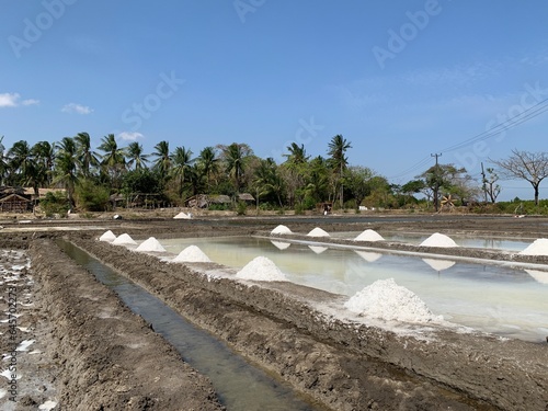 view of salt production on the seafront photo