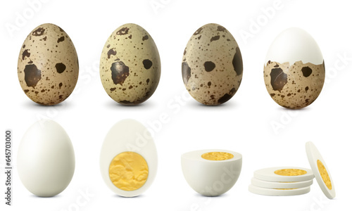 Boiled quail egg eggs isolated on white background. Textured Whole, Cracked Broken, half peeled, Peeled Boiled Egg, Hard-Boiled Egg With Yolk. Whole, Cut in Half Egg, Front View. Realistic 3d Vector