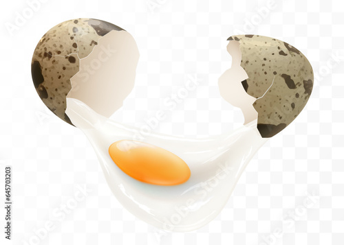 A broken spotted quail egg isolated on a transparent background. The protein and yolk flowed out of a broken egg shells close-up. Horizontal illustration of cracked egg. Realistic 3d vector design