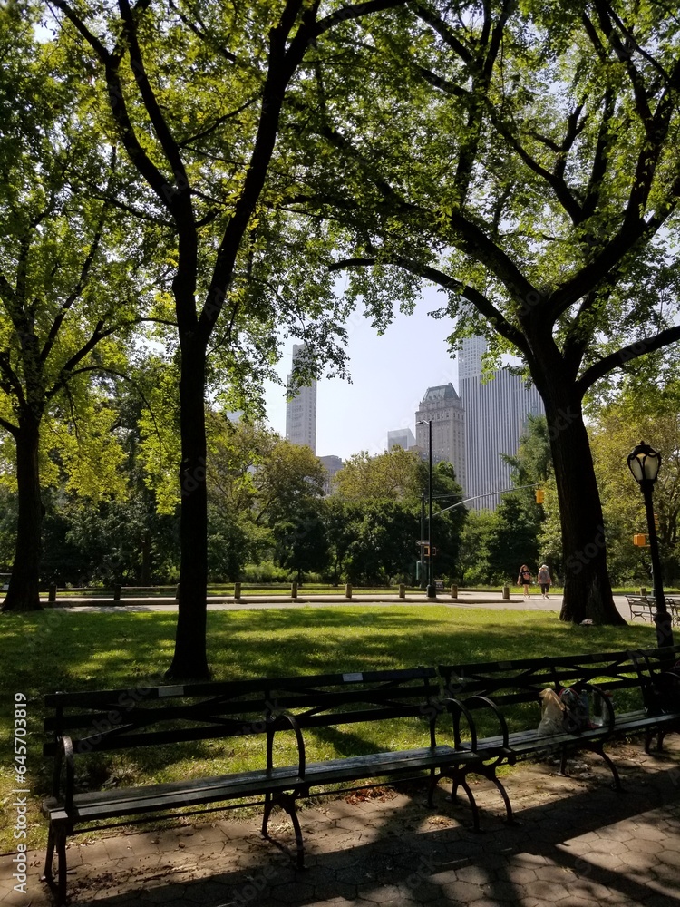 park bench in the Central park