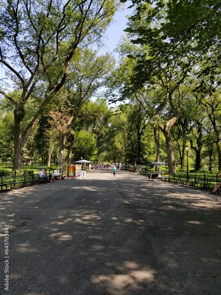 walk in the central park