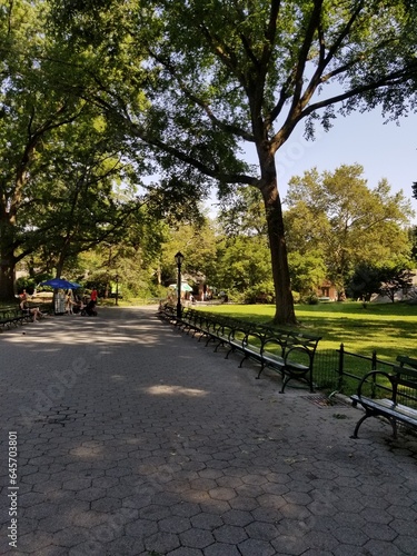 walk in the central park