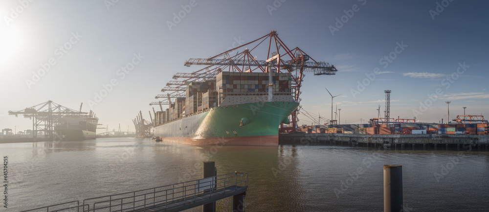 Large container ships at a terminal in Hamburg at rising sun
