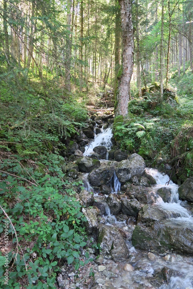 Wasser fließt den Pletzgraben bei Schönau am Königssee in den Berchtesgadener Alpen herunter. Wasser fließt den Pletzgraben bei Schönau am Königssee in den Berchtesgadener Alpen herunter.