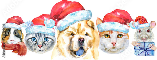 Border from watercolor portraits of dog, guinea pig, cats and rat