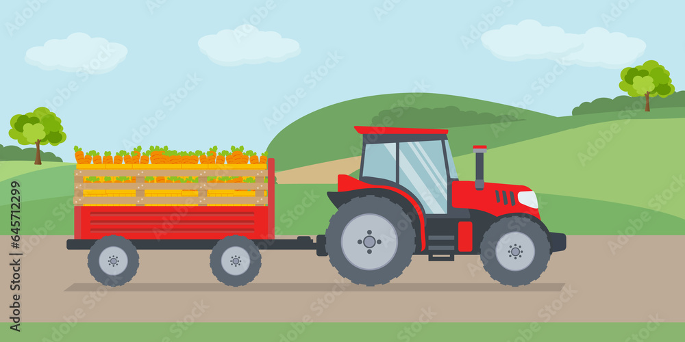 Obraz premium Trattore che arava il campo. Trattore che trasporta il raccolto di carote. Concetto di agricoltura. - illustrazioni
