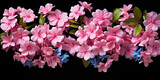 Black Background with Cutout Pink and Blue Flowers