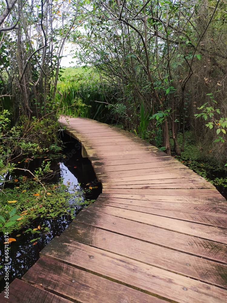 Obraz premium Walking Path