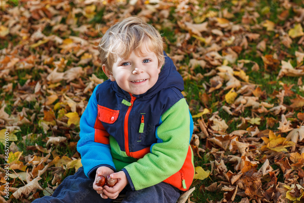 Cute little boy playing with maple leaves outdoors. Happy child walking in autumn park. Toddler baby boy wears trendy jacket . smiling Blonde boy portrait. Autumn fashion. Stylish child outside. Cute little boy playing with maple leaves outdoors. Happy child walking in autumn park. Toddler baby boy wears trendy jacket . smiling Blonde boy portrait. Autumn fashion. Stylish child outside.