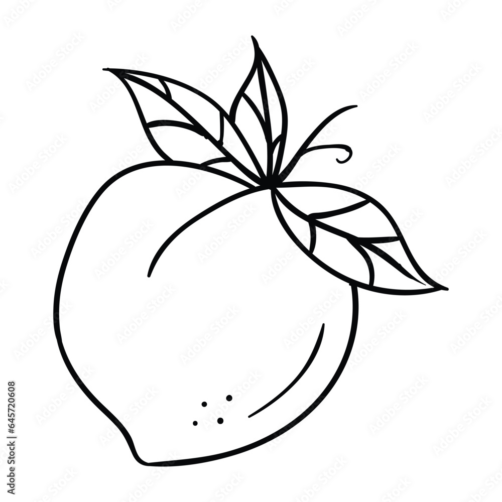 Hand drawing style of peach vector. It is suitable for fruits icon, sign or symbol. Hand drawing style of peach vector. It is suitable for fruits icon, sign or symbol.