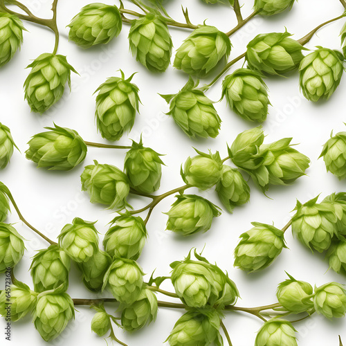 Wallpaper Mural Hops Torontodigital.ca