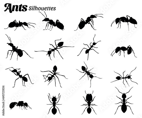 Set of vector illustrations of ant insect animal silhouettes © Ascreator