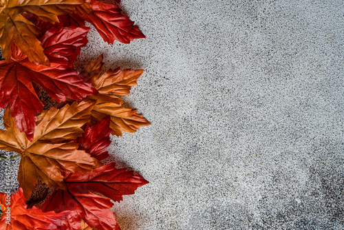 Autumnal frame on concrete background