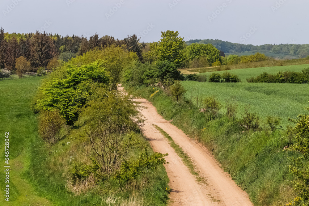 View of an agriculturally used field with green grass.