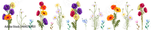 Horizontal autumn's border: colorful bouquets of aster, gerbera, marigold, daisy flowers on white background. Digital draw, realistic illustration in watercolor style, panoramic view, vector