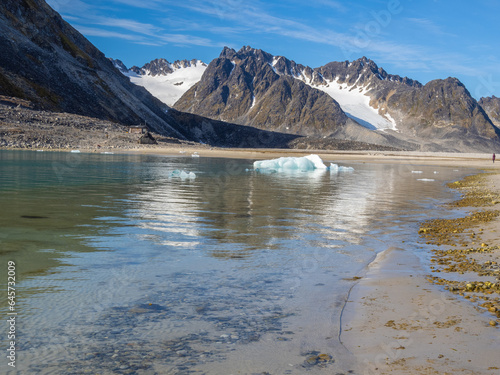 Smeerenburg historical whaling settlement, Svalbard, Norway. Abandoned after the local bowhead whale population was decimated photo