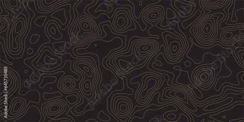 Abstract black background with bound Topographic line map pattern. Contour elevation topographic and textured Background Modern design with White background with topographic wavy patte.