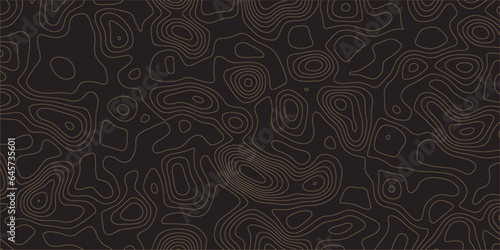 Abstract black background with bound Topographic line map pattern. Contour elevation topographic and textured Background Modern design with White background with topographic wavy patte.