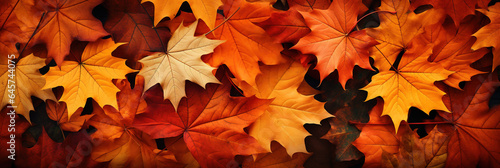 Herbstlicher Hintergrund Banner mit bunten Bl  ttern 