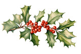 Isolated holly branch clip art on a transparent white background, suitable for Christmas and New Year's decorations in a winter season.