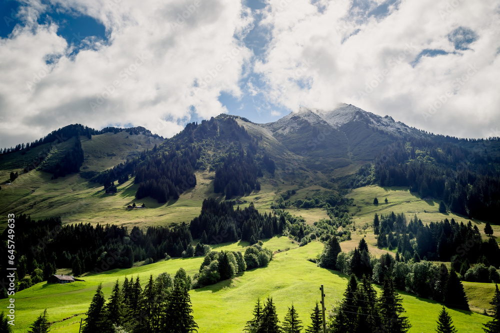 Paysage des Alpes Suisse