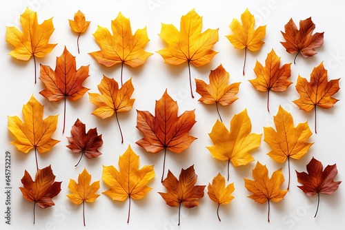 autumn leaves background