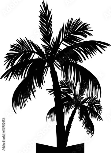 coconut tree